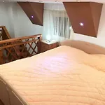 Tiszavirag Panoramahaz * セゲド