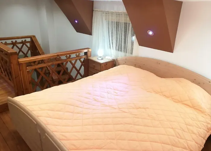Tiszavirag Panoramahaz * Σέγκεντ